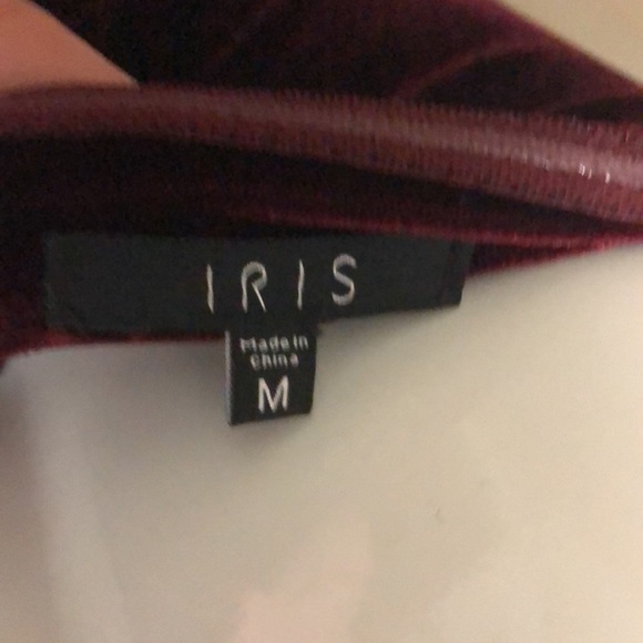 IRIS Velvet Strapless Dress - Picture 3 of 3